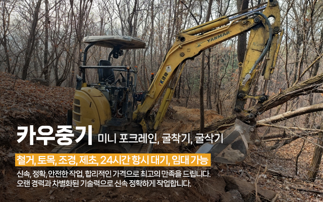 카우중기_캐러셀m